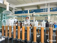 建牢全市粮安根底